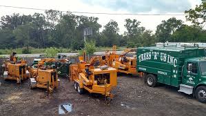 Maybe you would like to learn more about one of these? Trees R Us Inc Chicago North Northwest Suburb Tree Service Tree Trimming Removal Planting Pruning