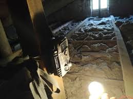 Bei mardern im haus oder fahrzeug sind laien mit der auswahl an marderfallen, mitteln und gerätschaften meistens überfordert. 7 Wirksame Mittel Gegen Marder Unterm Dach 100 Anleitung Neu Outdoorando