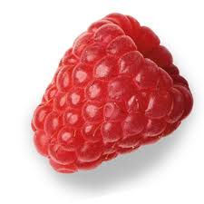 Image result for Raspberry 1992 Shadow