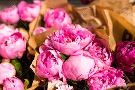 We did not find results for: Freshly Picked Bouquet Of Peony Flowers On Display At The Farmers Market Pink Peonies For Sale Stock Photo Picture And Royalty Free Image Image 131284177