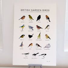 Garden Bird Print British Garden Birds Poster Etsy Bird Prints Bird Garden British Garden