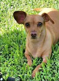 Thank you for adding me. My name is Christine and I live in East Orlando.  Look forward to interacting with the group.