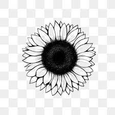 Sunflower Png Images Vector And Psd Files Free Download On Pngtree In 2020 Sunflower Drawing Sunflower Illustration Sunflower Pictures
