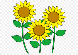 Bunga matahari gambar animasi for android apk download. Umum Bunga Matahari Bunga Kartun Gambar Png