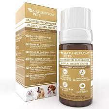 Babys und kinder können durch die entspannende wirkung besser einschlafen; Die 4 Besten Naturlichen Beruhigungsmittel Fur Hunde Tierischehelden