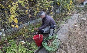 Beerenstraucher Schneiden Die Wichtigsten Tipps Beerenstraucher Beeren Bepflanzung