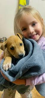 2 Hands Saving 4 Paws Humane Society Inc