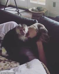 The former la home of hollywood designer tony duquette known as 'dawnridge' is the setting for the glamorous eccentric lenore osgood's (sharon stone) home in ryan murphy's ratched. Sharon Stone 62 Shares A Video Where She First Meets Her Ratched Co Star Pablo The Monkey Daily Mail Online