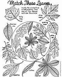 Plus, it's an easy way to celebrate each season or special holidays. Autumn Or Fall Coloring Pages Sheets And Pictures