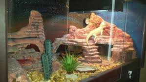 Diy Bearded Dragon Vivarium Beardeddragoncagediy Beardeddragontanks Beardeddragondiy Bearded Dragon Vivarium Bearded Dragon Terrarium Bearded Dragon Care