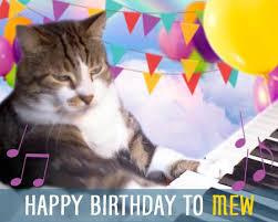 Your cat is part of your family so why not plan a birthday or anniversary day celebration? Cat Cat Eating Birthday Cake Song