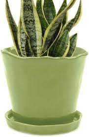 Southern patio 12 inch ceramic clay mayer flower planter & saucer tray, seafoam. The Best Pots And Planters On Amazon 2021 The Strategist