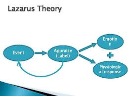 In other words, when we smile, we then experience. Social Psychology Of Emotion B Theories Of Emotions
