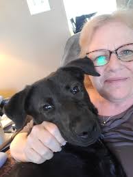 So all the liter B parents out there does any of Charlie's siblings do this  when being pet? His whole back is a tickle spot.