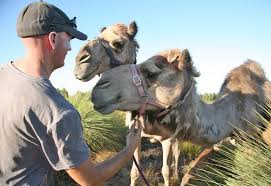 But just how little money can someone realistically get by on? Camel Milk Touted As The Next Big Export Industry Afdj