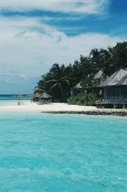 It's like having the beach at the palm of your hands. Paradise Beach Wallpapers Posted By Zoey Peltier