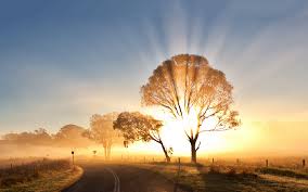 Image result for sunrise