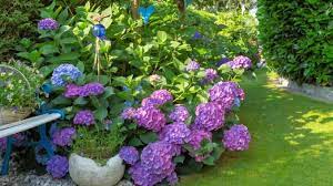 Weitere ideen zu pflanzen, garten pflanzen, garten. Pflanzen Fur Schattige Platze In Ihrem Garten