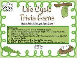 Life Cycle Trivia Game Life Cycles Cycle Trivia Games