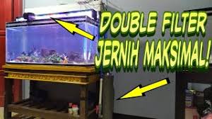 Filter spons adalah salah satu filter paling hemat energi untuk ruang udang dan ikan hias yang lebih besar karena satu pompa udara dapat memberi daya pada banyak filter spons. Double Filter Canister Dan Filter Talang Air Aquarium Jernih Maksimal Youtube