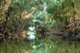 Cele mai frumoase locuri din romania. Memories From Danube Delta Romania By Almost