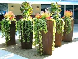 Find a wide selection of indoor plant pots at great value on athome.com, and buy them at your local at home store. Where To Buy Outdoor Plant Pots Near Me