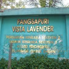 This cultivar of english lavender has nice, dark purple flowers that appear throughout the summer. Vista Lavender Apartment Home Facebook