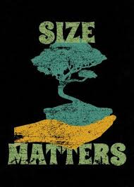 All the bonsai rules, techniques, tips and meaning in a poster infographic. Size Matters Bonsai Tree Poster By Papersquad Displate