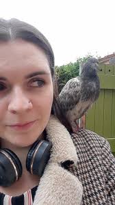 Rescuing a Pigeon with Stringfoot in Manchester