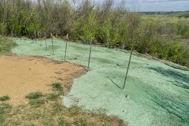 Many experts consider this process to be the most efficient one for adding grass to a plain dirt area. How Hydroseeding Works Information About Hydroseeding A Lawn
