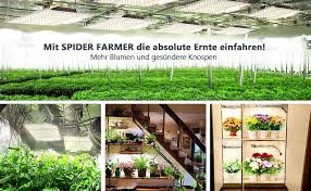 Mars hydro tsw 2000 led grow light 300 watt 4x4ft coverage full spectrum growing lamps for indoor plants dimmable daisy chain seeding veg bloom light for hydroponics greenhouse indoor led grow : Led Pflanzenlampe Spider Farmer Sf 2000 Led Grow Lampe Mit Samsung Lm301 Dioden Dimmbar Meanwell Driver Vollspektrum 3000k 5000k 660nm 760nm Grow Light Fur Zimmerpflanzen Gemuse Blume 798pcs Leds Amazon De Beleuchtung