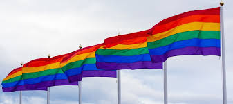 Para marcar a data, que é muito especial para a comunidade lgbt, celebridades como bruna linzmeyer e daniela mercury mostraram todo seu orgulho nas. Acoes Para O Dia Do Orgulho Lgbtq Na Empresa