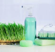 Do not use on suede, leather, unfinished wood, opals or pearls. Are Natural Disinfectants Effective How To Know If A Cleaner Really Kills Germs