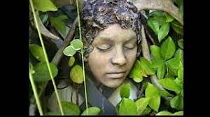 Mixed Media 3D Artwork by Cathy Gibson