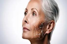 Elspeth Thomas's Instagram, Twitter & Facebook