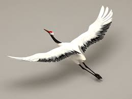 Crane Bird Flying Rigged 3d Model 3ds Max Files Free Download Modeling 36378 On Cadnav Crane Bird Birds Flying Bird