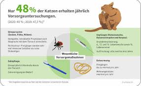 Das chippen einer katze übernimmt üblicherweise der tierarzt. Impfen Wurmkur Zahnpflege Co Fur Katzen Wichtig Aber Noch Immer Zu Wenig Genutzt