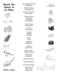 These easy science trivia questions and answers are perfect for testing what they know and expanding their knowledge so they get to appreciate more about the world around us. Animal Groups Classes Matching Quiz