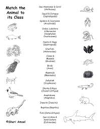 Only true fans will be able to answer all 50 halloween trivia questions correctly. 5 Year Old Animal Quiz