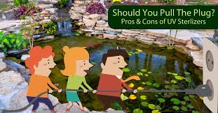 Are Uv Pond Filters Sterilizers The Best Choice For My Pond