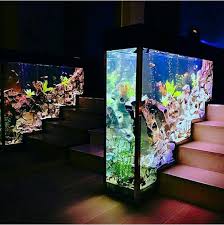 Senzeal Aquarium Home Stairs Design Aquarium Design Stairs Design