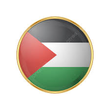 Dummy Flag