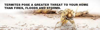King of prussia is located in montgomery county, pa and has a population of around 19,936. Termite Control Treatment Exterminator King Of Prussia Pa 19406