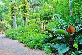 Lush Landscape And Garden Design Tropical Landscape Garden Design Miami Knoll Landscap Tropical Garden Design Tropical Landscape Design Garden Landscape Design