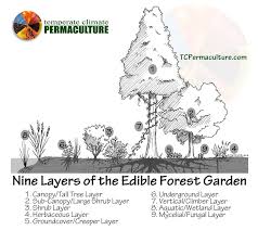 Likes Tumblr Forest Garden Permaculture Food Forest