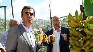 Ministro foi conhecer centro de processamento de banana da Madeira