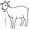 Trimaksih berkunjung gambar mewarnai tema qurban semoga memberikan kesan tersendiri bagi anda, dan guna perbaikan portal ini silahkan untuk isi sumbang saran di kolom komentar yang sudah kami sediakan. 1
