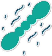 Image result for Staphylococcus Saprophyticus