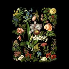Vintage Inspired Flower Botanical Chart Shirt Men Women Gift