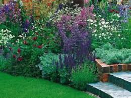 Http Img Webme Com Pic S Skm Haus Garten Service Gk5 Jpg Garten Traumgarten Haus